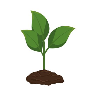 pot izole simgesiyle bitki