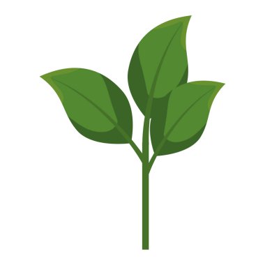 pot izole simgesiyle bitki