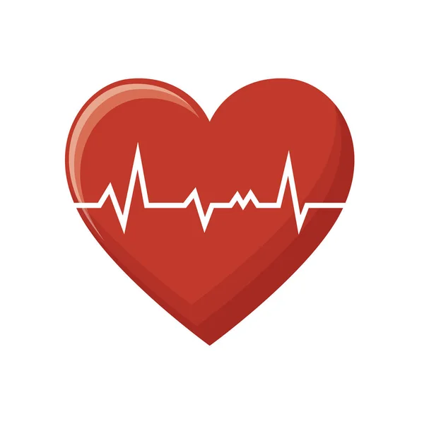 Heart cardio isolated icon — Stock Vector