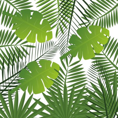 güzel dekorasyon çiçek arka plan