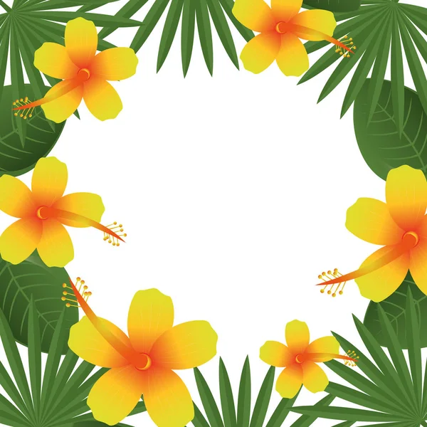 Mooie decoratie florale achtergrond — Stockvector