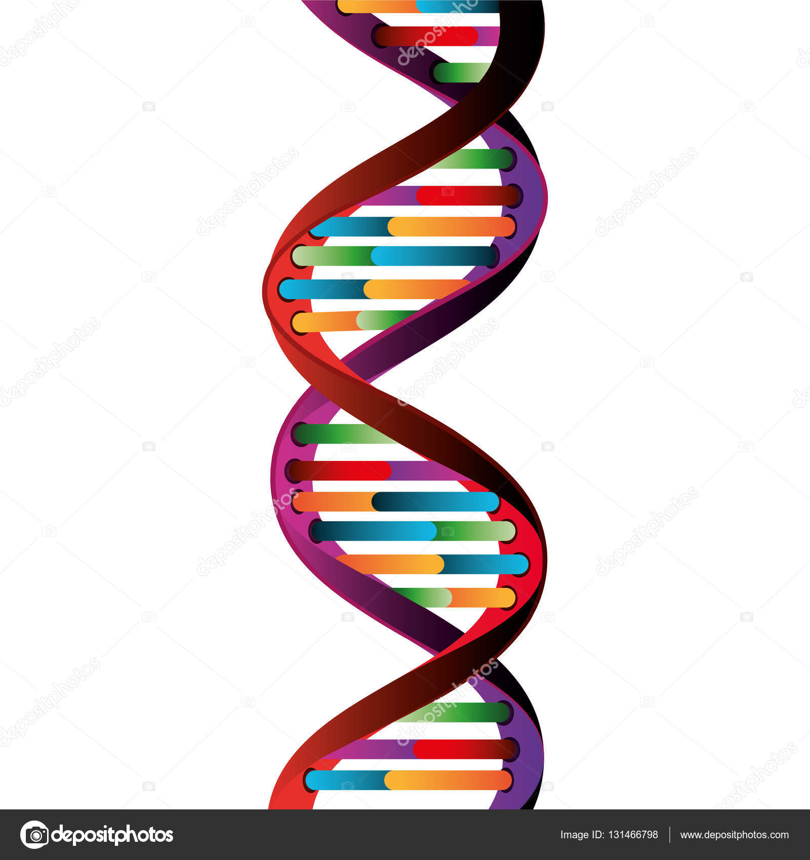 遺伝子ストックベクター ロイヤリティフリー遺伝子イラスト Depositphotos