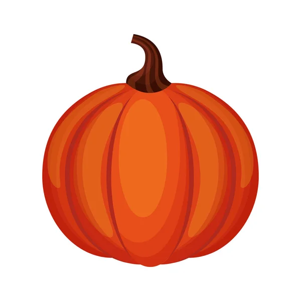 Icône de nourriture de thanksgiving de citrouille — Image vectorielle