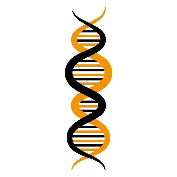 Structure moléculaire de l'ADN — Image vectorielle