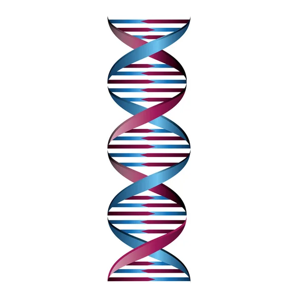 Struttura molecolare del DNA — Vettoriale Stock