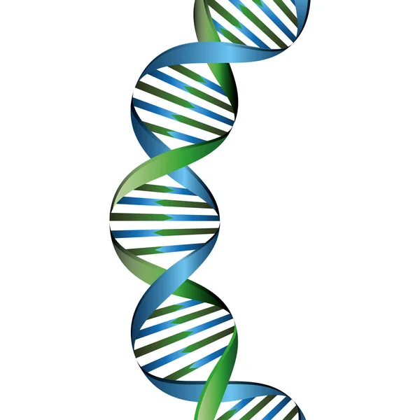 Estructura molecular del ADN — Vector de stock