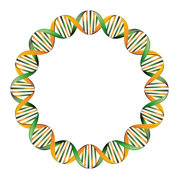 Dna の分子構造 — ストックベクタ