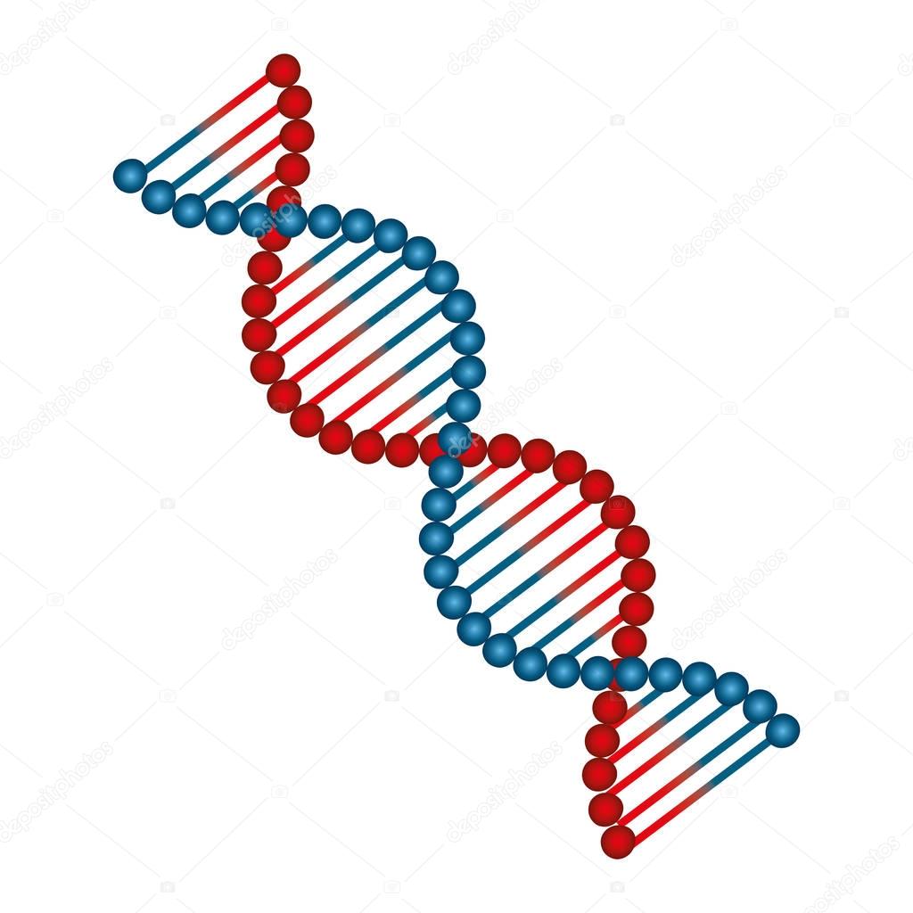 Estructura Molecular Del Adn — Vector De Stock © Yupiramos 131466506