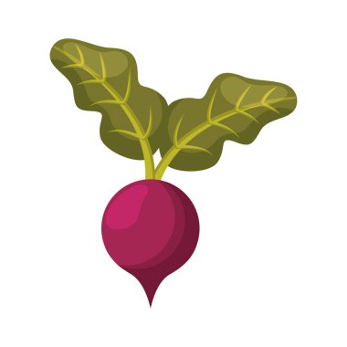 Vejetaryen ürün sağlıklı gıda