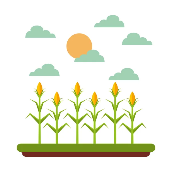 Gården och jordbruket design — Stock vektor