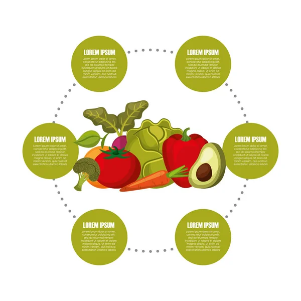 Presentazione infografica di alimenti sani per la dieta — Vettoriale Stock