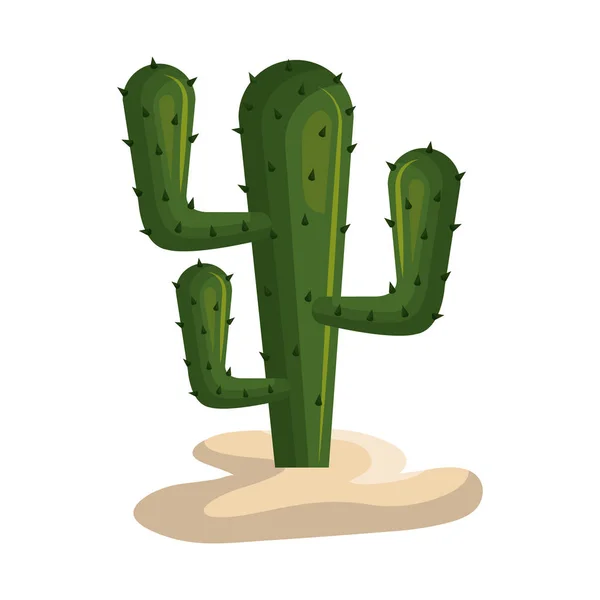 Cactus icono de planta mexicana — Vector de stock