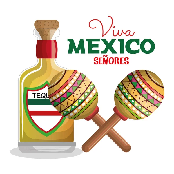 Viva mexico poster pictogram — Stockvector