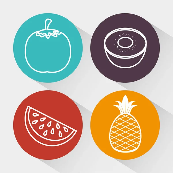 Výživa zdravých potravin ikona — Stockový vektor