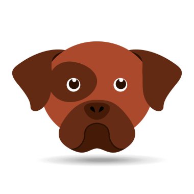 güzel kafa köpek yavrusu köpek boxer