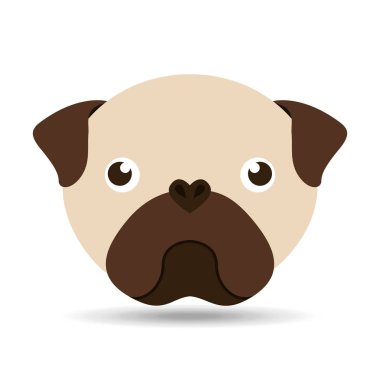 güzel kafa pug köpek