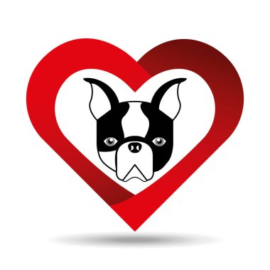 Fransız buldozer kalp arka plan ile sevimli köpek evde beslenen hayvan