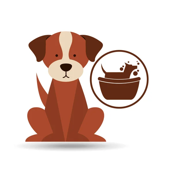 Veteriner köpek bakım gromming simgesi — Stok Vektör