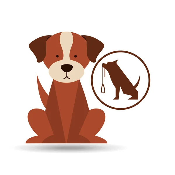Veterinary dog care training icon — Stock Vector