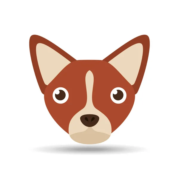 Piękny szczeniak głowy pies chihuahua brązowy — Wektor stockowy