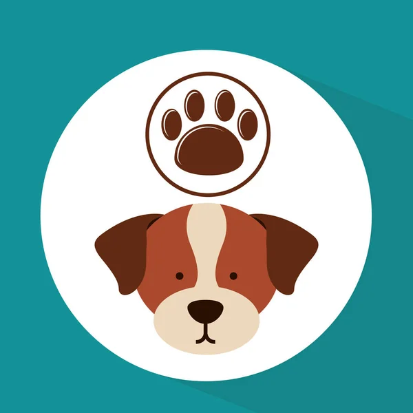 Hond veterinaire zorg paw print pictogram — Stockvector