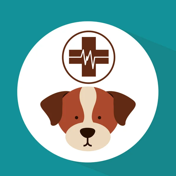 兽医的狗护理诊所图标 — 图库矢量图片