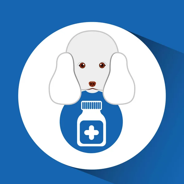 Tienda digital de mascotas con caniche y medicina contenedor — Archivo Imágenes Vectoriales