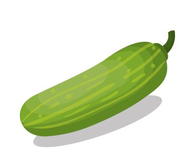 taze salatalık sebze izole simgesi