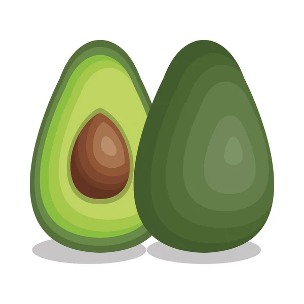 Verse avocado plantaardige geïsoleerde pictogram — Stockvector