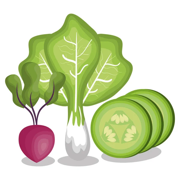 Čerstvá zelenina zdravá výživa — Stockový vektor