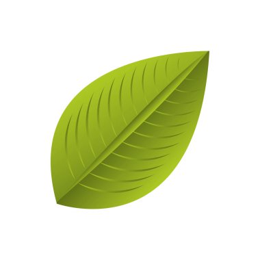 bitki izole simgesi yapraklar