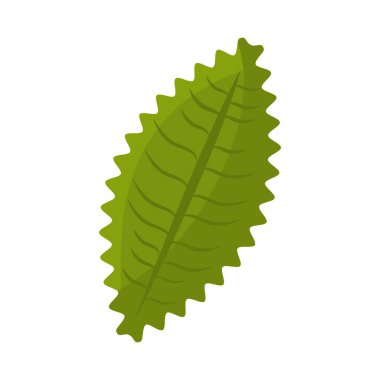 yaprak bitki izole simgesi