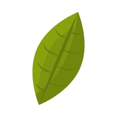 yaprak bitki izole simgesi