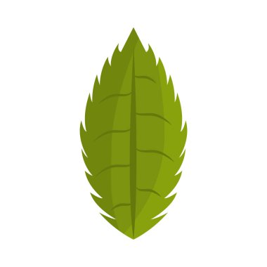 yaprak bitki izole simgesi