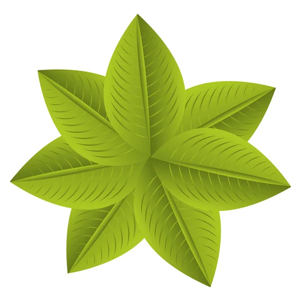 Folhas de plantas ícone isolado —  Vetores de Stock