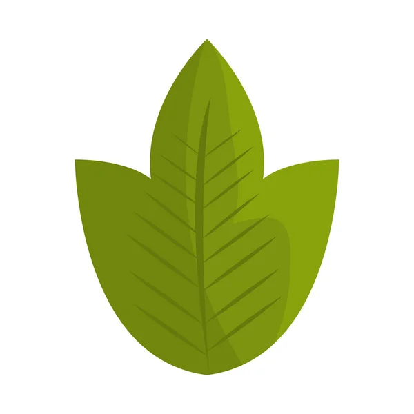 Blad plant geïsoleerde pictogram — Stockvector