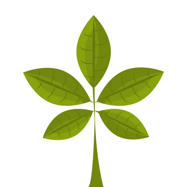 Leaf plant isolated icon — Stock Vector