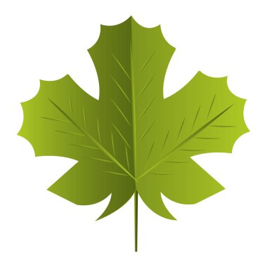 yaprak bitki izole simgesi