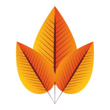 yaprak bitki izole simgesi