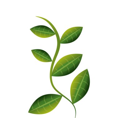 yaprak bitki izole simgesi