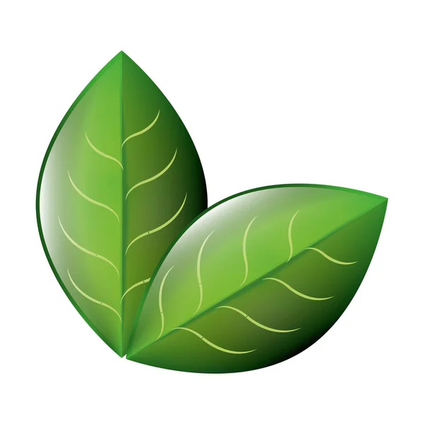 Planta de hoja aislado icono — Vector de stock