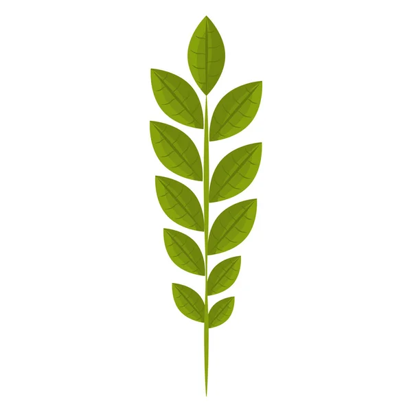 Leaf plant isolated icon — Stock Vector