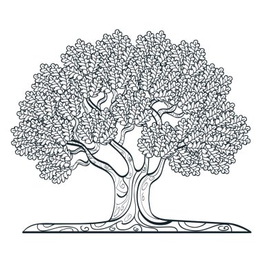 bitki izole simgesi yapraklar