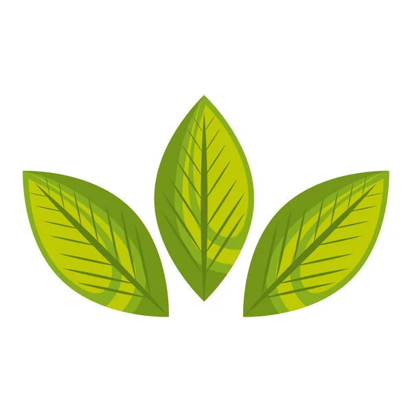 Hojas símbolo de ecología vegetal — Vector de stock