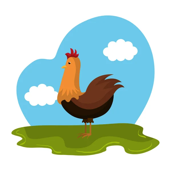 Chicken animal farm in the field — Stock Vector