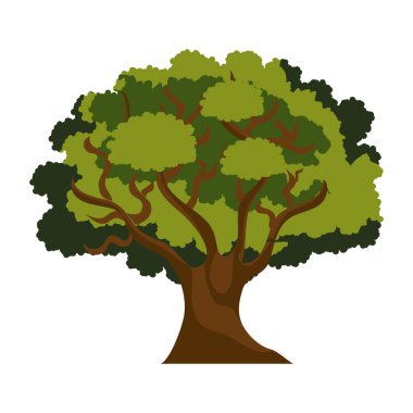 ağaç bitki izole simgesi