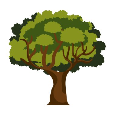 ağaç bitki izole simgesi