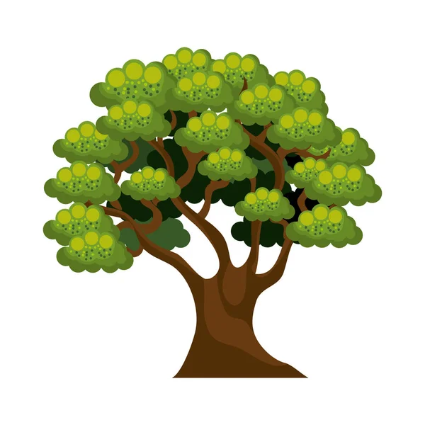 Árbol planta aislado icono — Vector de stock
