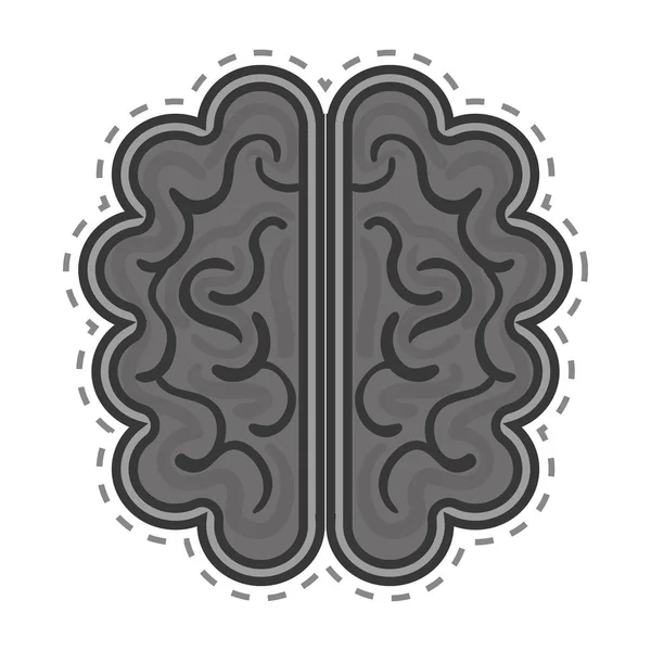 Beyin organı insan izole edilmiş simgesi — Stok Vektör