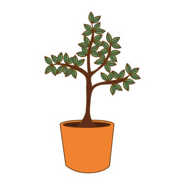 ağaç bitki siluet simge